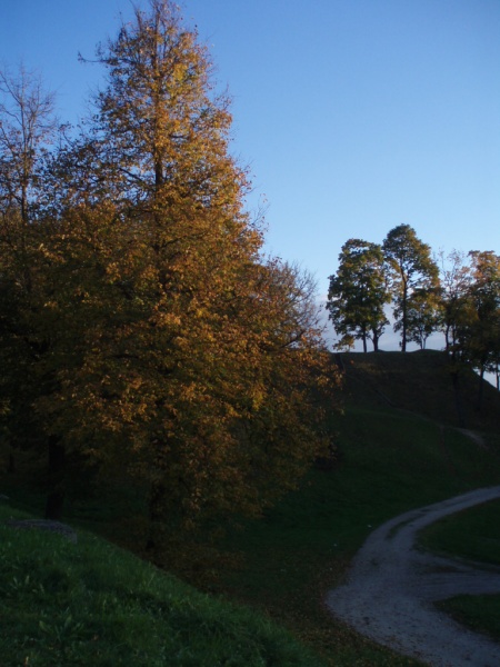Vaizdas:Pilia - kalnis 988.jpg
