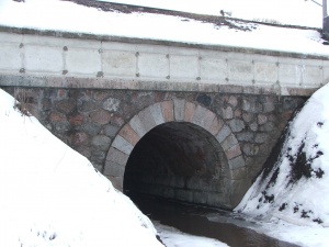 Vandens perlaida