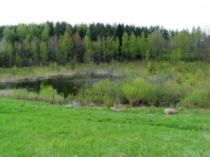 Juodabalės herpetologinis draustinis