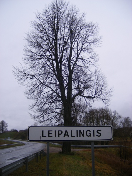 Vaizdas:Leipalingio liepa 53.jpg
