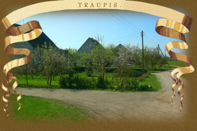 Vaizdas:Traupis 05 628.jpg