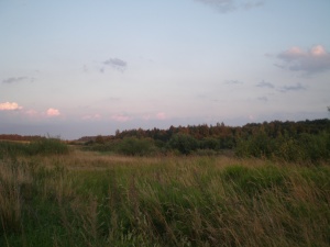 Mažeikių rajonas