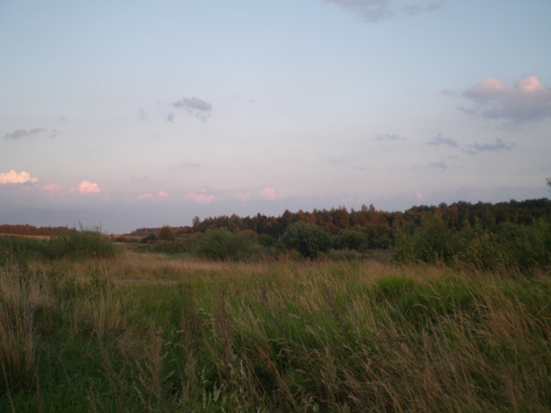 Vaizdas:Jonaičių kaimo laukai 576.jpg