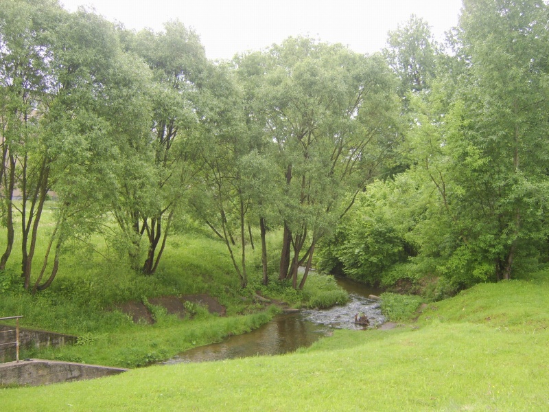 Vaizdas:Jonava. Varnutė upelis pavasarį 294.jpg