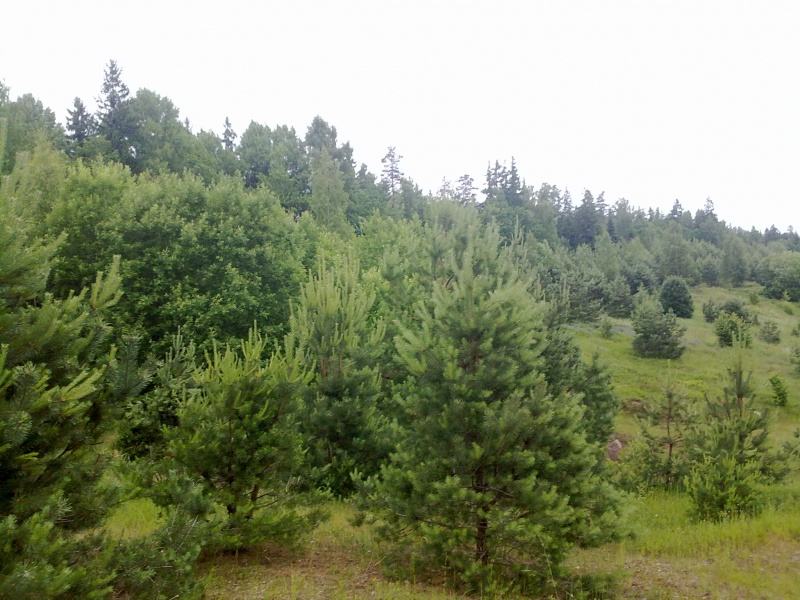 Vaizdas:Karjeras 344.jpg