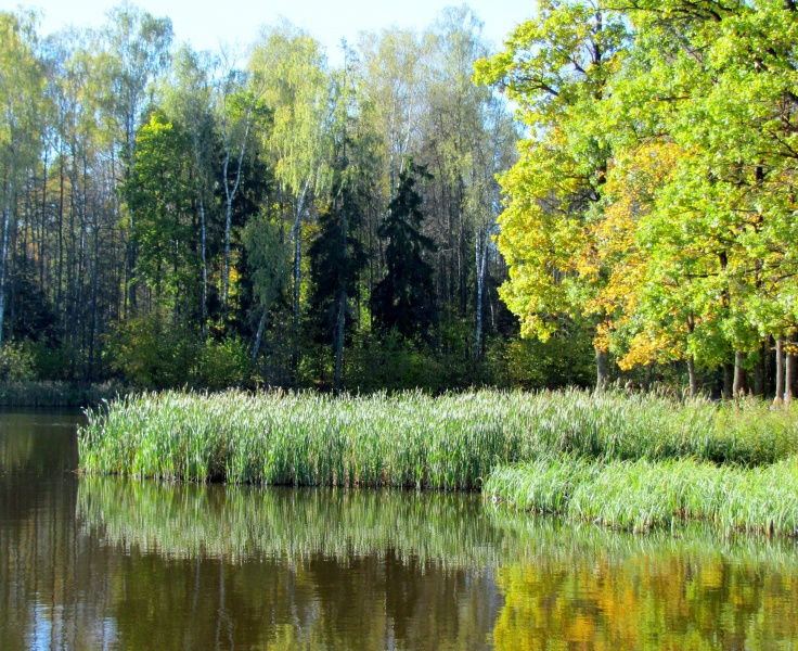 Vaizdas:Rudens ramuma 418.jpg