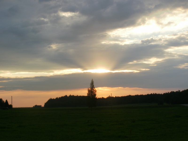 Vaizdas:Saulužė 219.jpg