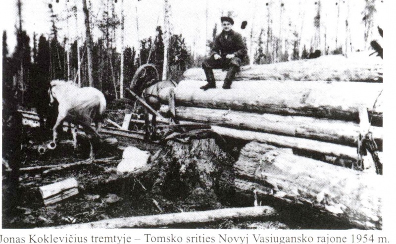 Vaizdas:Skanuotas11.jpg