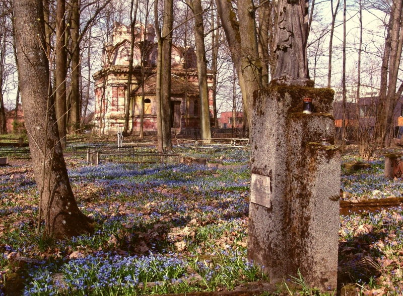 Vaizdas:Fredos senosiose kapinėse 908.jpg