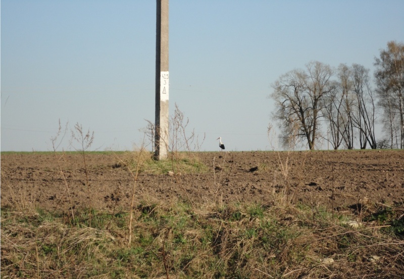Vaizdas:Vienišiai 867.jpg