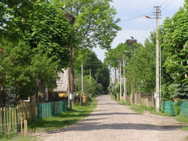 Vaizdas:Gandrai pamėgo Čižiūnų kaimą, Varėnos raj. 613.jpg
