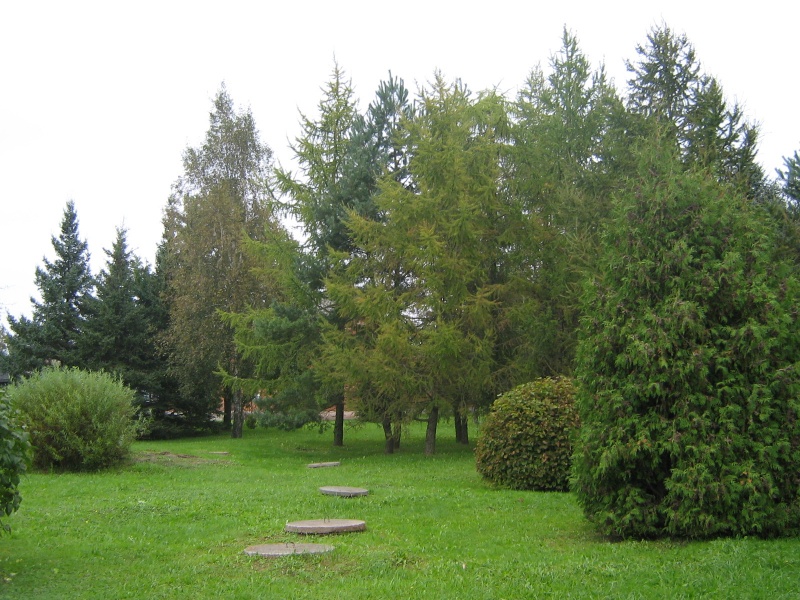 Vaizdas:Parkas 956.jpg