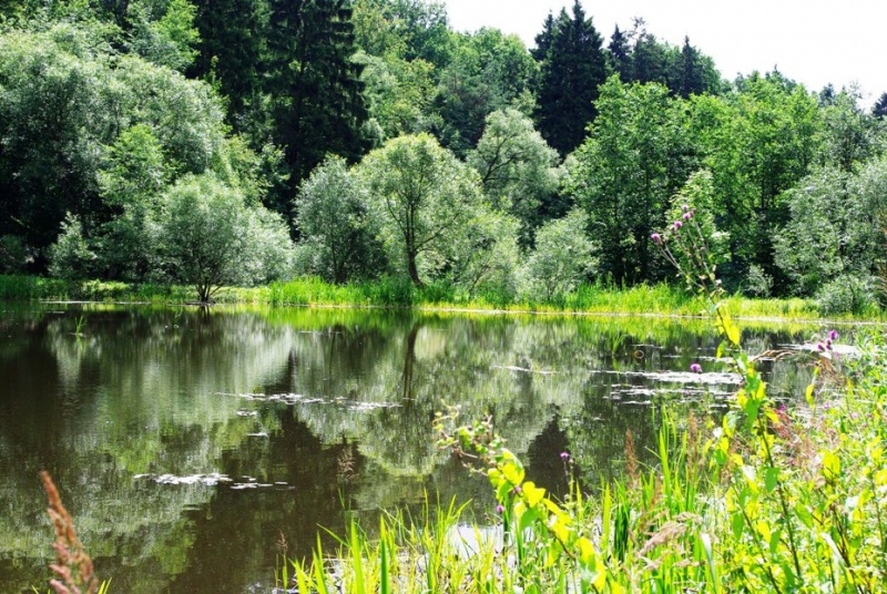 Vaizdas:Agnapilis 537.jpg