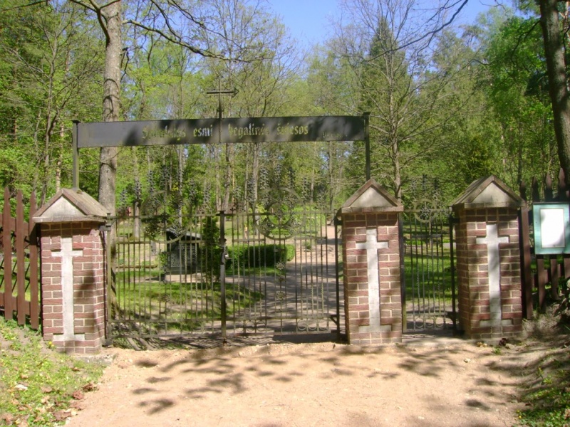 Vaizdas:Bitėnų kapinės.JPG