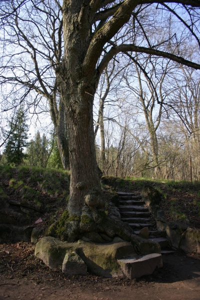 Vaizdas:Lentvario dvaro parkas 657.jpg