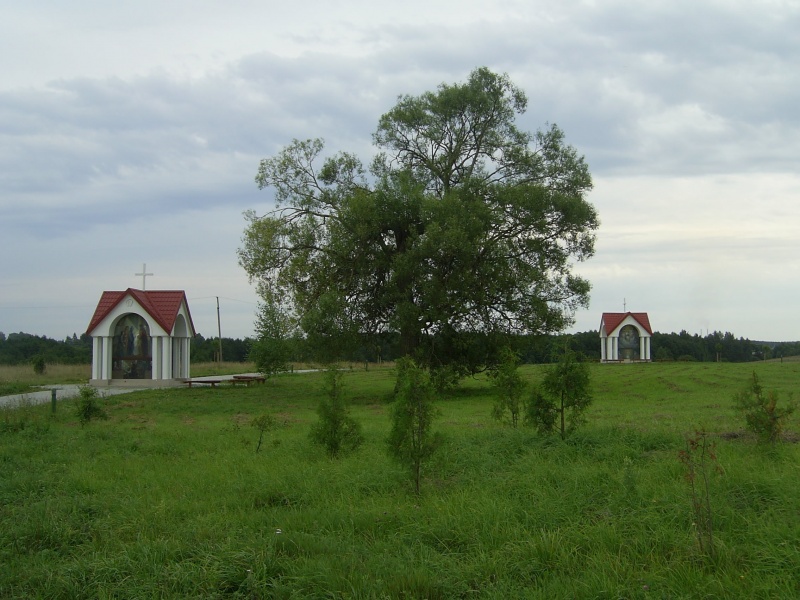 Vaizdas:Rožinio parkas Guronyse 471.jpg