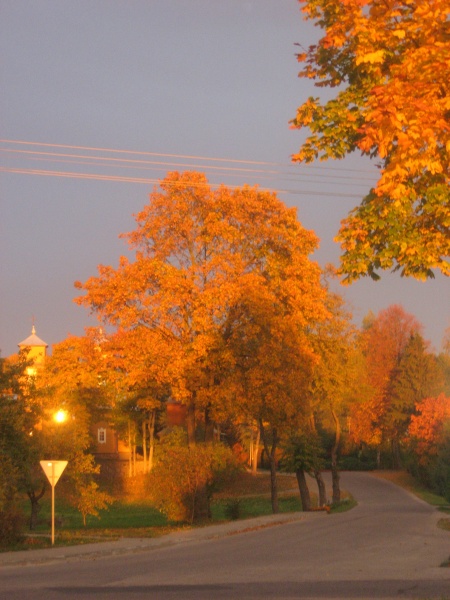 Vaizdas:Rudenėja - Daugailių bažnyčia 266.jpg