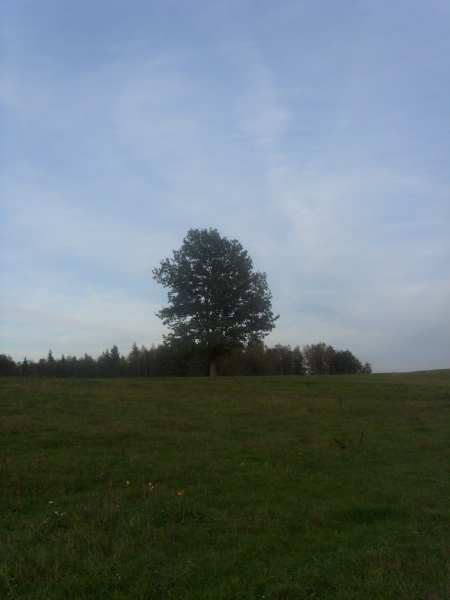 Vaizdas:Vienatvė 150.jpg