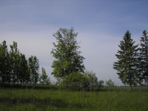 Gimtinės takais