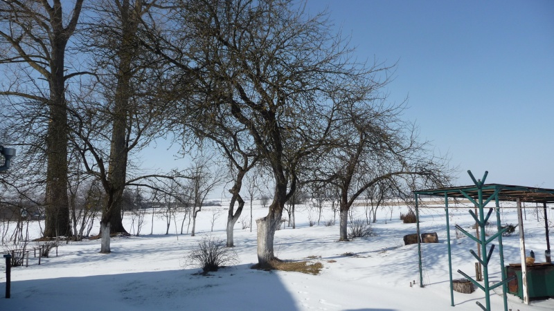 Vaizdas:Ramybė 370.jpg