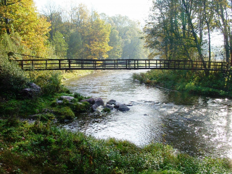 Vaizdas:Beždžionių tiltas Lakštingalų slėnyje 337.jpg