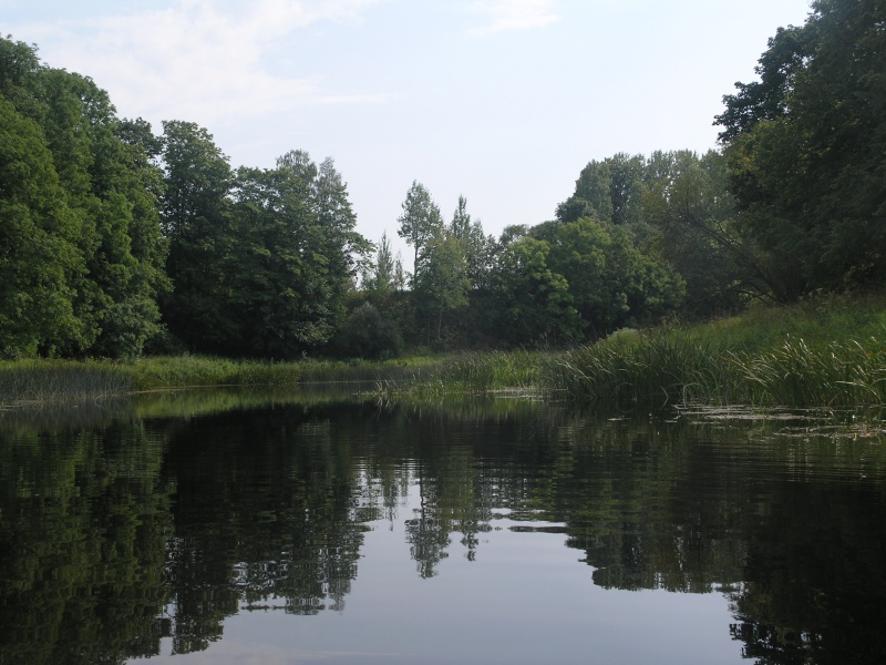 Vaizdas:Nemunėlio upės vingis 824.jpg