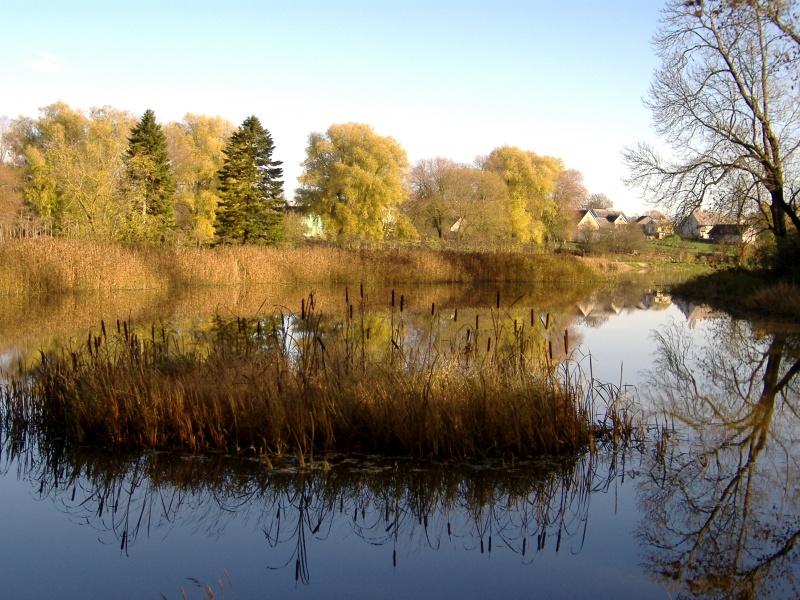 Vaizdas:Rudens akvarelė (Mosėdis, Skuodo raj.) 390.jpg