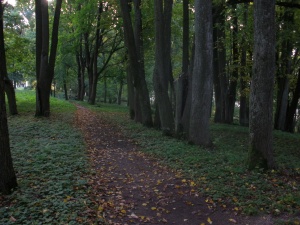 Salų dvaro parkas 2010  Pagrindinė alėja lik ežero
