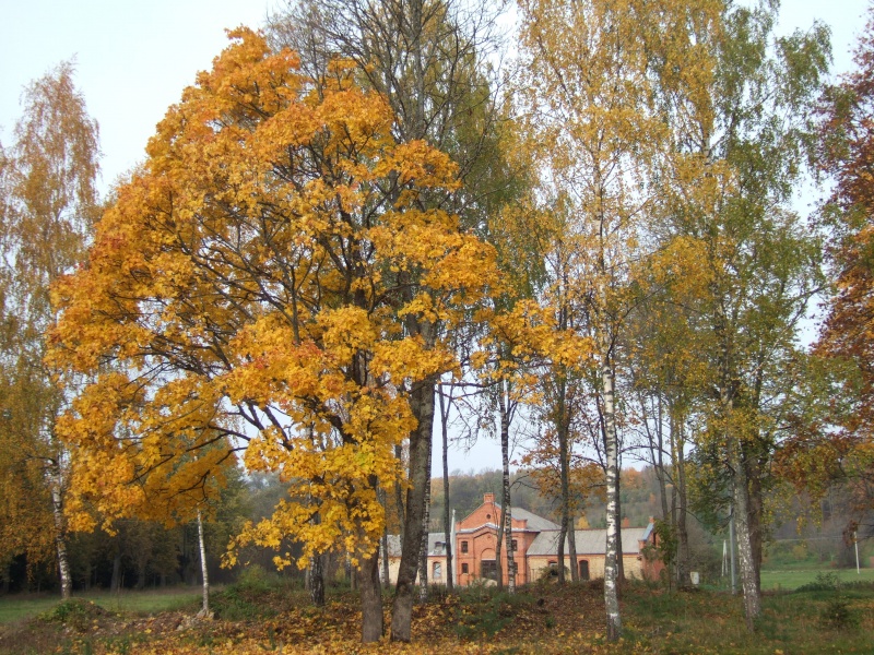 Vaizdas:Palėvenės dvaro 583.jpg