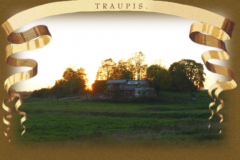Vaizdas:Traupis 15 715.jpg