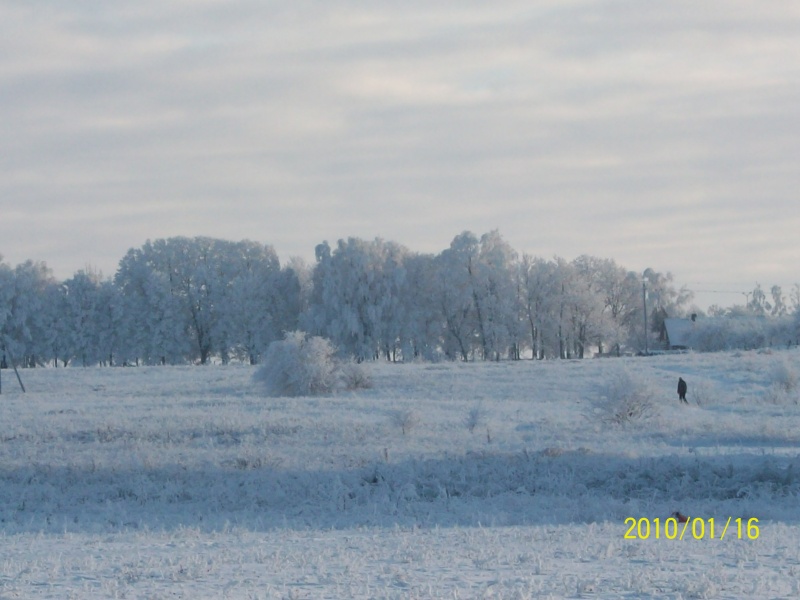 Vaizdas:Kviečių gatvė pabalo 770.jpg