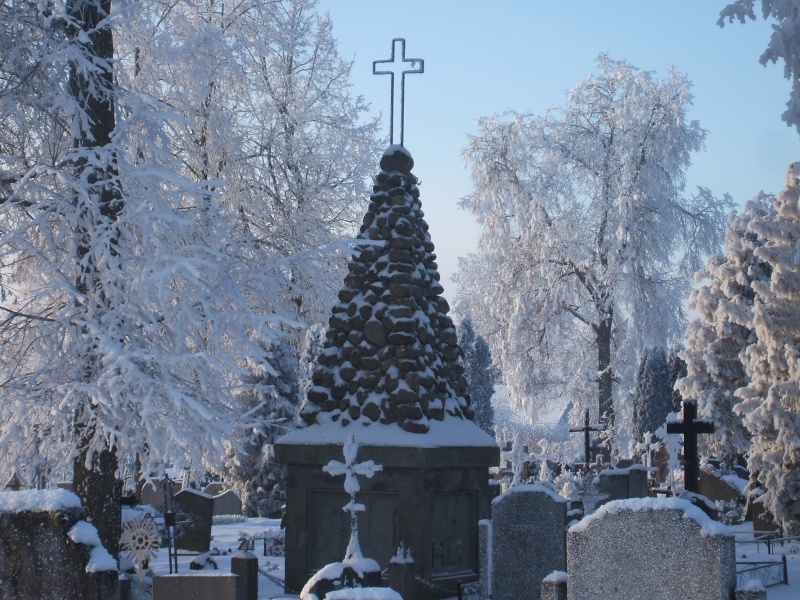 Vaizdas:Paminklas "Užmirštai Motinai" 782.jpg