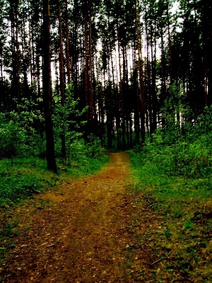 Akmenės gamtos ir kultūros parkas