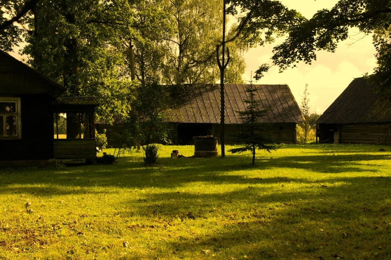 Vaizdas:Baltrakis, Vitkauskynė, kiemas 784.jpg