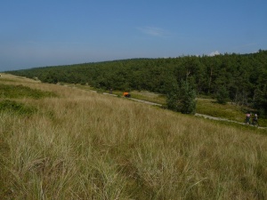 Urtės Morozovaitės