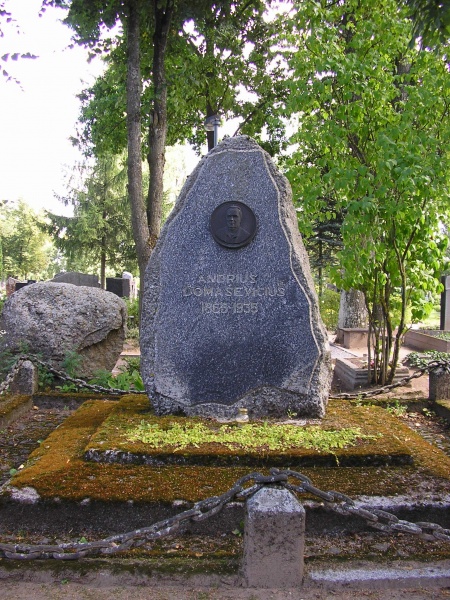 Vaizdas:Domaseviciaus kapas.JPG