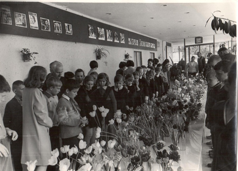 Vaizdas:Geliu paroda 780.jpg