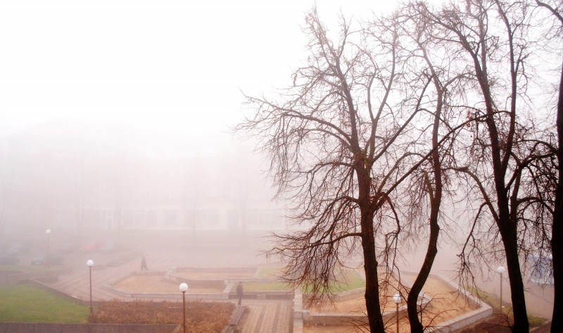 Vaizdas:Miegantis rytas centre (1dalis) 655.jpg