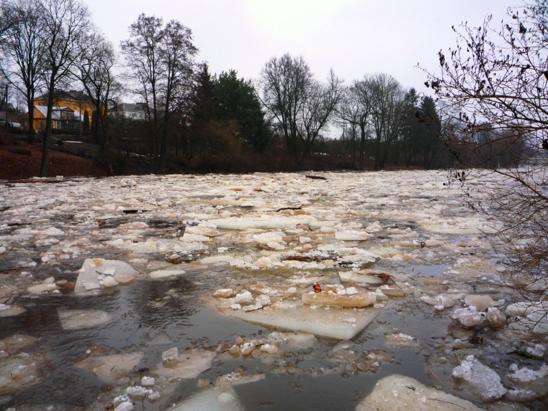 Vaizdas:Potvynis 17.jpg