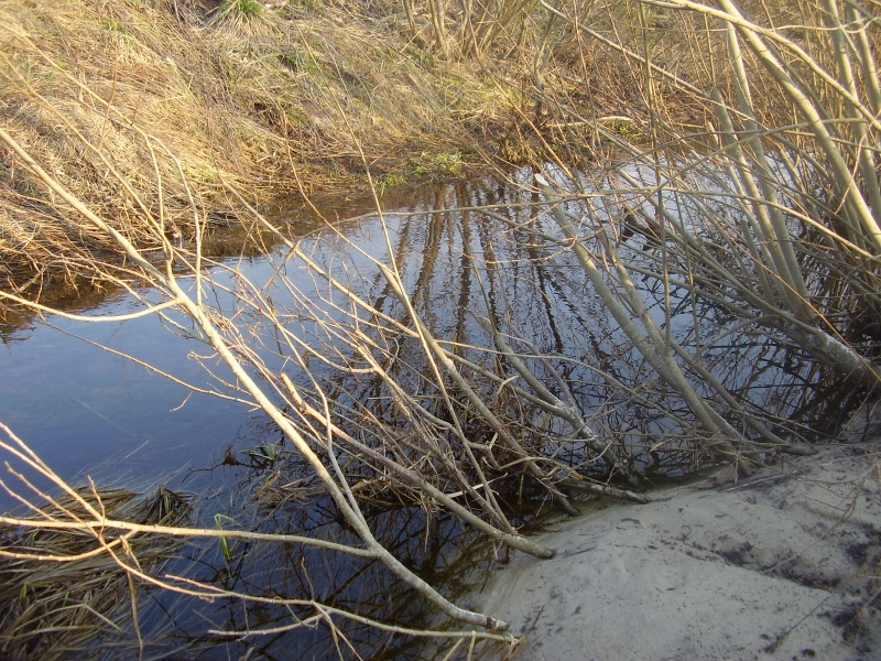 Vaizdas:Dirbtinė salelė 484.jpg