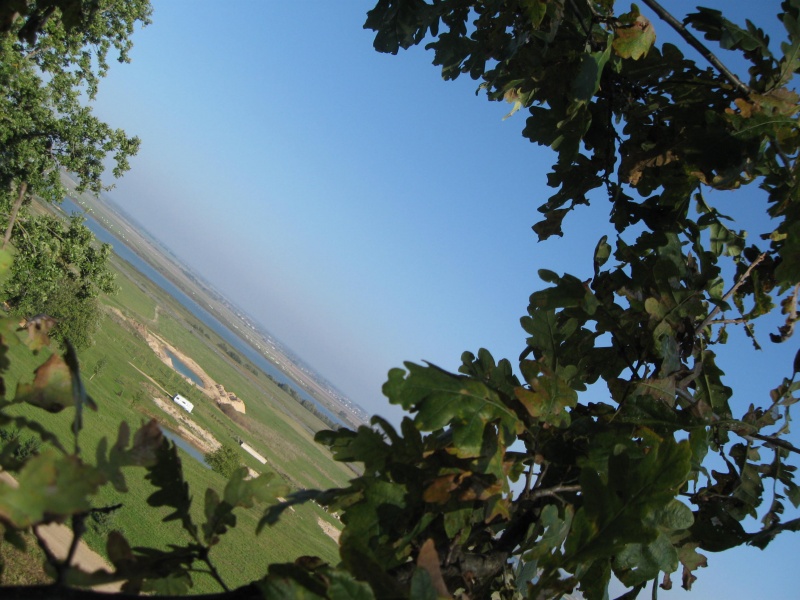Vaizdas:Kalnujų - Palendrių piliakalnis. Skrydis 601.jpg