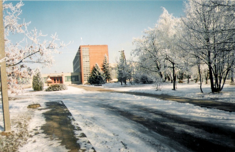 Vaizdas:Katyčiai žiema 912.jpg