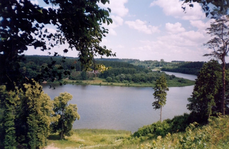 Vaizdas:Nemunas Prienų krašte 16.jpg