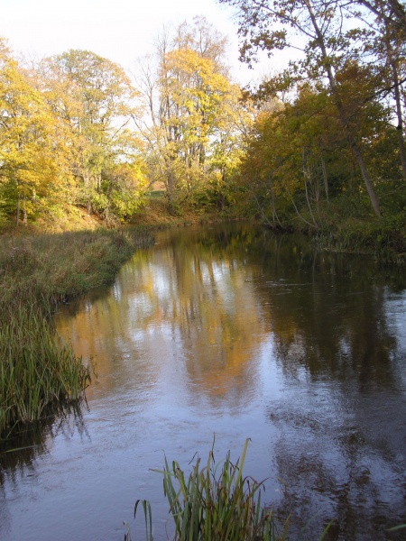 Vaizdas:Rudens atvaizdas Varduvoje 215.jpg