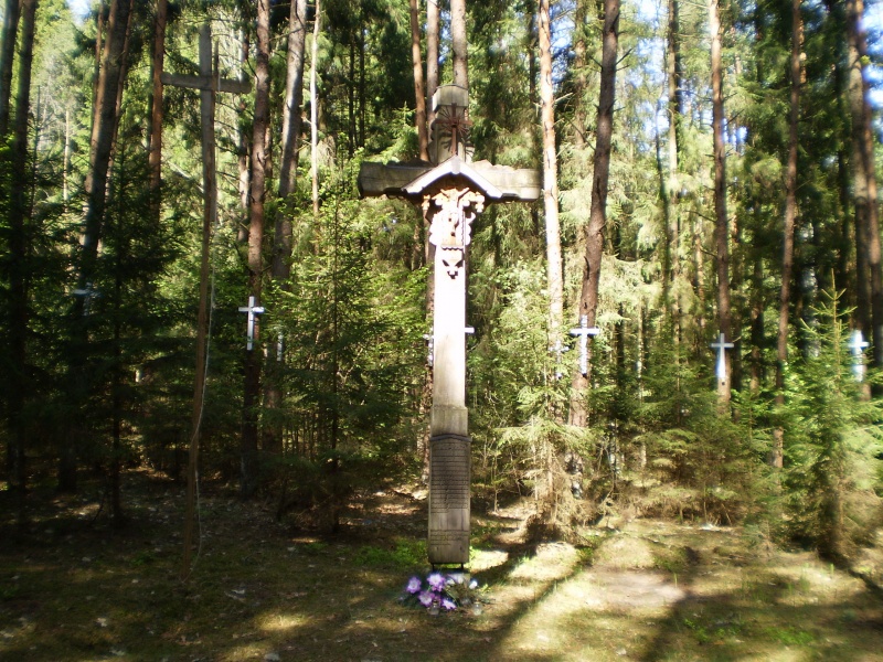 Vaizdas:C-Documents and SettingsvrmMy DocumentsMy Picturespart1.jpg