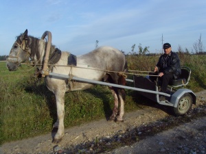Gojaus kaimas, Anykščių raj.