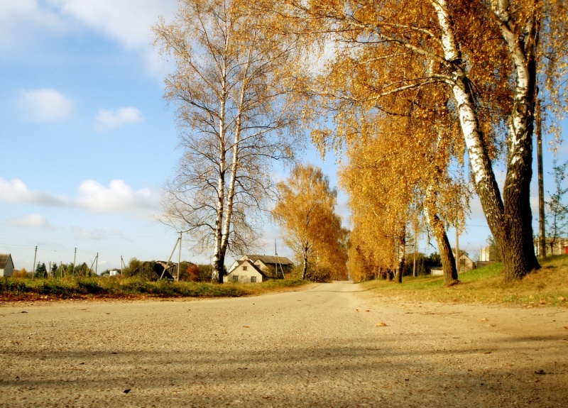 Vaizdas:Rudeninė gatvė 258.jpg