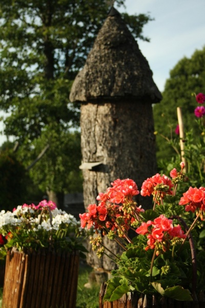 Vaizdas:Senovinės bitininkystės muziejus 677.jpg