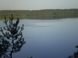 Žalia žalia už Marių mėlynųjų.