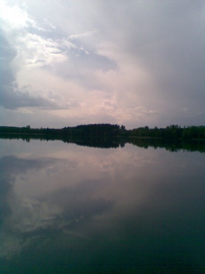 Tikslioji simetrija